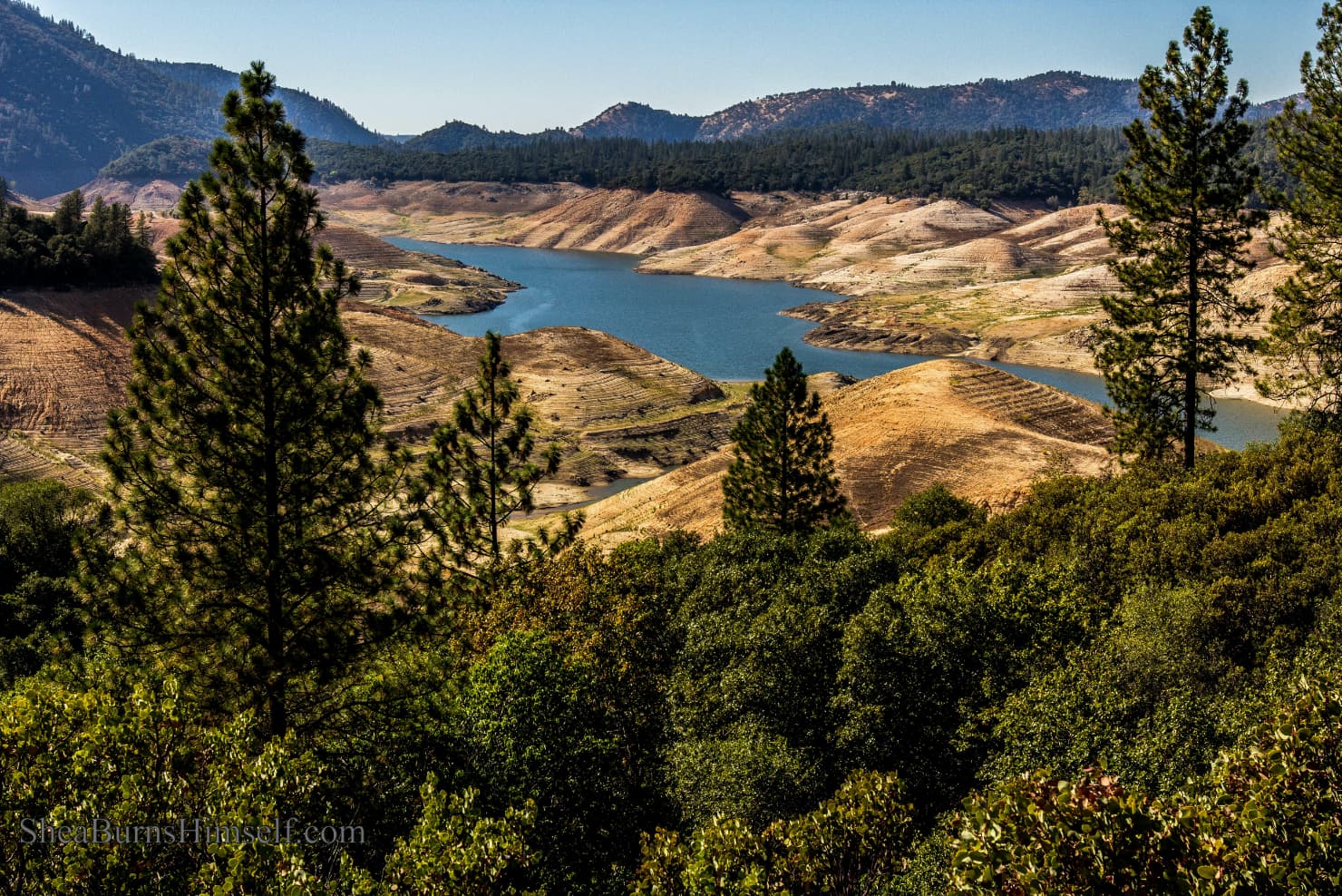 Mountains, trees, and a lake